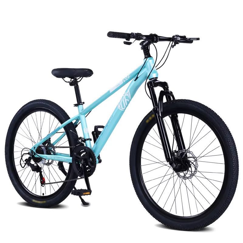 BDF BICYCLE
